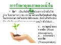 ดุลยภาพของสิ่งมีชีวิต3