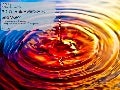 IB Biology Core 3.1: Chemical Elements and Water