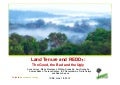 Land tenure and REDD+: the good, the bad and the ugly