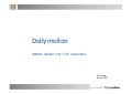 Presentation  Dailymotion 090311