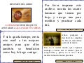 El Secreto, resumen en frases por Wilson Beltran