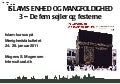 3   De fem søjler og festerne 
