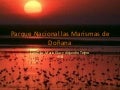 3 Parque Nacional Las Marismas De DoñAna