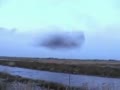 300,000 birds move at once