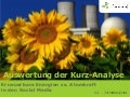 Infopaq Social Media Kurzanalyse - Erneuerbare Energien vs  Atomkraft (31.03.2011)