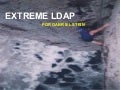 EXTREME LDAP - GABRIEL STEIN