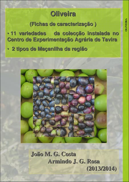 Oliveiras   fichas de caracterização