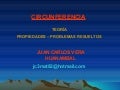 3º bimestre circunferencia