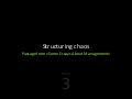 (3) Essay «Structuring Chaos»