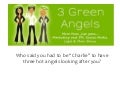 3 Green Angels Marketing Services