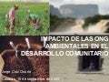 Impacto de las ONG Ambientales en el Desarrollo Comunitario