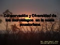 Conservación y Diversidad de los murciélagos  en la costa ecuatoriana