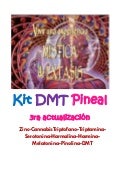 3ra actualizacion ondas dmt con zinc