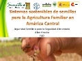 Seguridad Semillera para la Seguridad Alimentaria, Por Allan Hruska