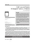 cleft lip and palate