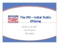 The Initial Public Offering -IPO