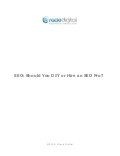 SEO: Should You DIY or Hire an SEO Pro?