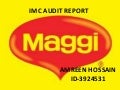 49188255 imc-maggi