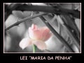 492   Lei Maria Da Penha