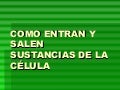 Como Entran Y Salen Sustancias De La Celula