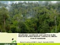 Smallholder livelihoods and land use in the Eastern Brazilian Amazon: Lessons for REDD+ from Proambiente