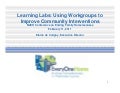 5.1 Learning Labs: Using Workgroups to Improve Community Interventions