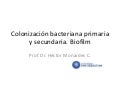 2010 - 5. colonización bacteriana y biofilm