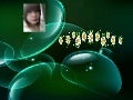 นางสาวนีรนุช  เข็มมะลัง  51011322023 pa  พิเศษ  วิชา computer  and  presentation