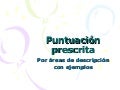 5300.07.Puntuacion X Areas
