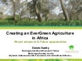 Dennis Garrity: Evergreen Agriculture #BeatingFamine