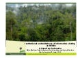 Institutional embeddedness of information sharing on REDD+: a case from Indonesia