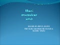 6. pertukaran unit ukuran panjang