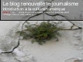 Comment le blog renouvelle le journalisme