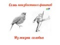 7 фактов из жизни соловья