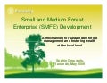 Sophie Grouwels: Fostering wealth and social contracts in the forest through facilitation of an enabling environment for small forest enterprises 