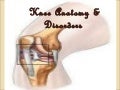 Knee Joint anatomy and Disorders