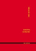 Bolivya Günlüğü