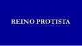7º ano cap 7  reino protoctistas