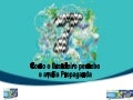 Como o brasileiro avalia a propaganda