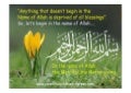 7 reasons to read the qur'an