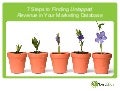 7 Steps to Finding Untapped Revenue in Your Marketing Database
