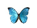Version 2