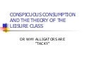 8 Conspicous Consumption