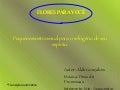 81079 Floresparavoce