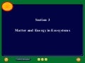 Chapter 9.3: Matter and Energy in Ecosystems