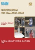 HI 93a -Understanding the challenge ahead : National disability survey in Afghanistan 2005, Executive summary report