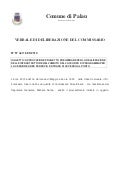 Delibera commissariale n 57_del 16052013