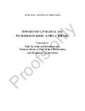 Opportunity, Strategy, & Entrepreneurship: A Meta Theory Vol. 1