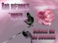 Poemas de Amor