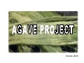 Agave Project Presentation